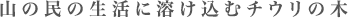 山の民の生活に溶け込むチウリの木