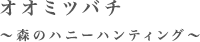 オオミツバチ　～森のハニーハンティング～