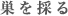 巣を取る