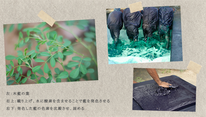 木藍の伝統文化