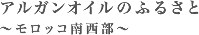 アルガンオイルのふるさと　～モロッコ南西部～