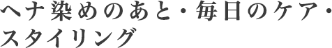 基本の使い方（ヘナ染めのあと・毎日のケア・スタイリング）