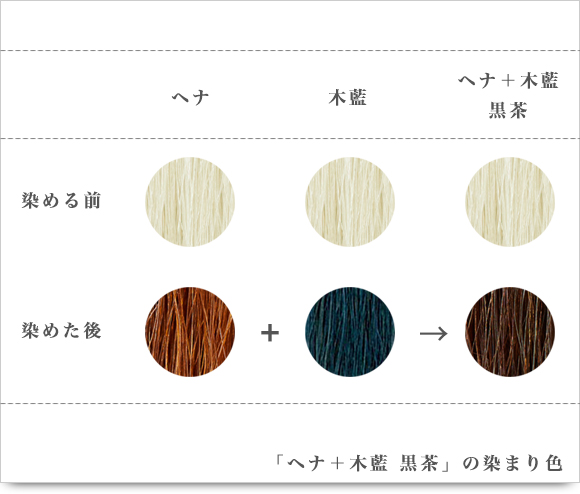 「ヘナ＋木藍 黒茶」の染まり色