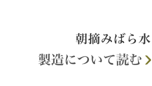 アルガンオイルの製造について読む