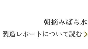 朝摘みばら水 製造レポートについて読む
