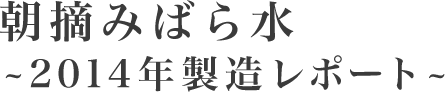 朝摘みばら水～2014年製造レポート～