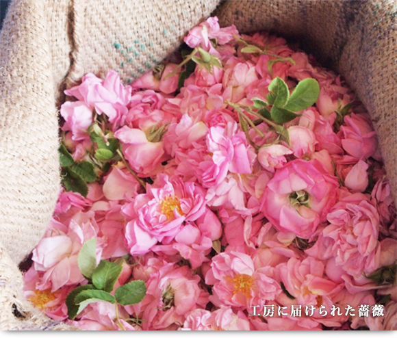 ムゴナ工房に届けられた薔薇