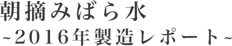 朝摘みばら水～2016年製造レポート～