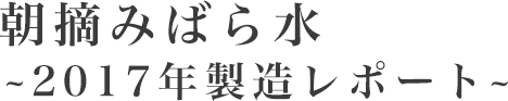 朝摘みばら水～2017年製造レポート～