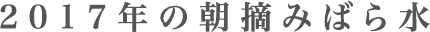 2017年の朝摘みばら水