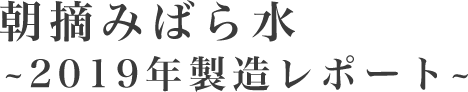 朝摘みばら水～2019年製造レポート～