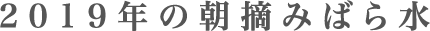 2019年の朝摘みばら水