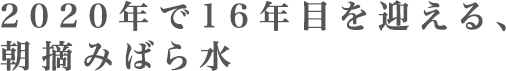 2020年で16年目を迎える、朝摘みばら水