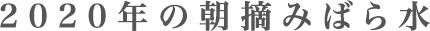 2020年の朝摘みばら水