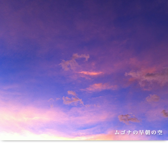 ムゴナの早朝の空