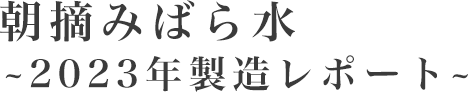 朝摘みばら水～2023年製造レポート～