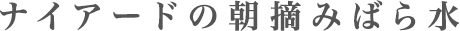 ナイアードの朝摘みばら水
