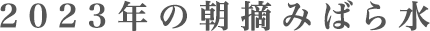 2023年の朝摘みばら水