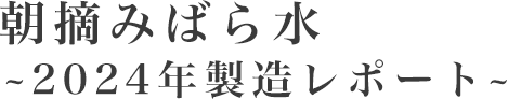 朝摘みばら水～2024年製造レポート～