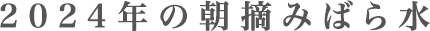2024年の朝摘みばら水