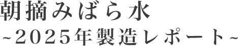 朝摘みばら水～2025年製造レポート～