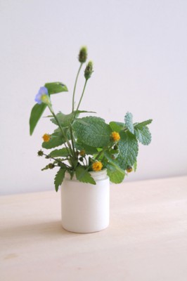 アルガンクリーム・・野の花を活ける花瓶として